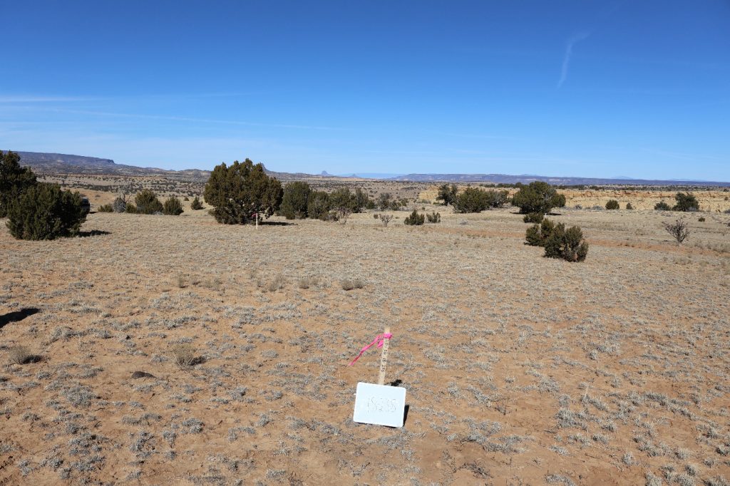 Proposed Drill Site North Shores 2026 Rio Puerco Drill Program